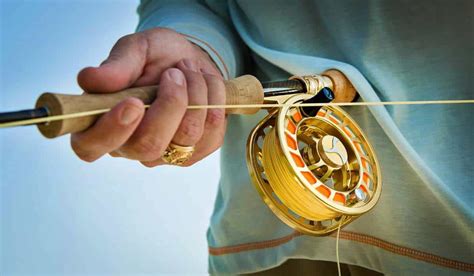 Types of Fishing Reels: The Complete Guide for 2025.